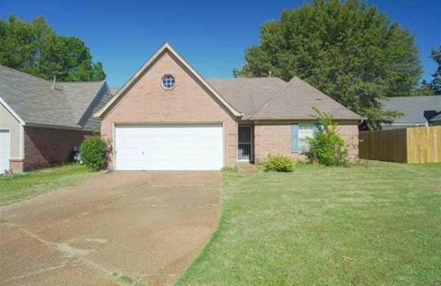 7938 ANNES photos photos