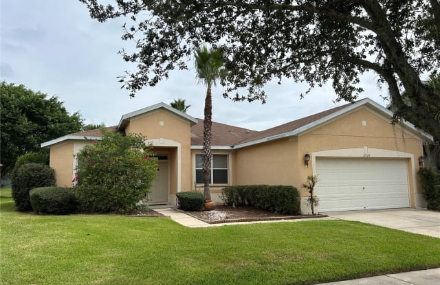 11027 HOLLY CONE DRIVE - 11027 Holly Cone Drive, Riverview, FL 33569