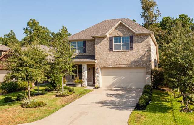 90 Wood Drake Place - 90 Wood Drake Place, The Woodlands, TX 77375
