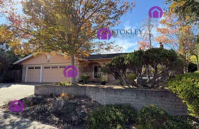 893 Appaloosa Drive Gallery 1