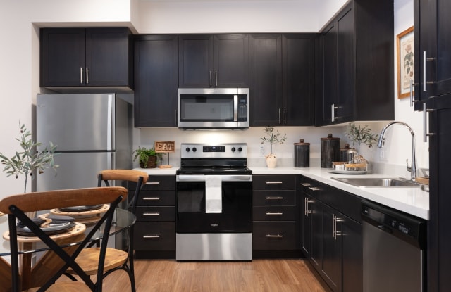 Senior Housing- Palmia, Age 55+ Luxury Apartments Gallery 2