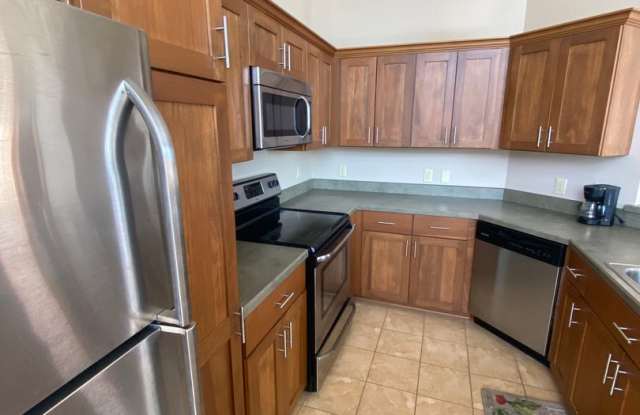 One Bedroom Apartment Gallery 4