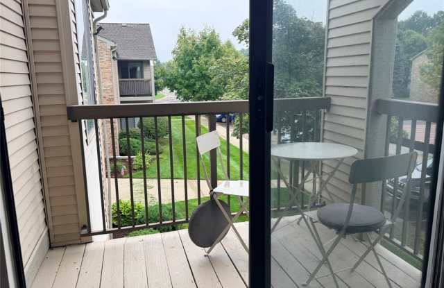 42779 Lilley Pointe Drive - 1 Gallery 1