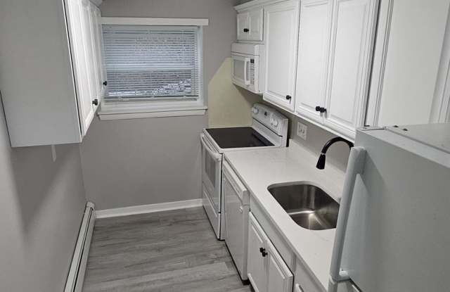 Renovated 1 bed/1 bath in Brighton - 7 Commonwealth Court, Boston, MA 02135