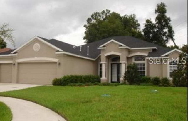 2414 FOUNTAIN GRASS DRIVE - 2414 Fountain Grass Drive, Valrico, FL 33594