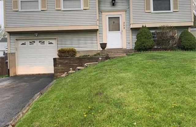 395 Celestial Dr - 395 Celestial Drive, Economy, PA 15042