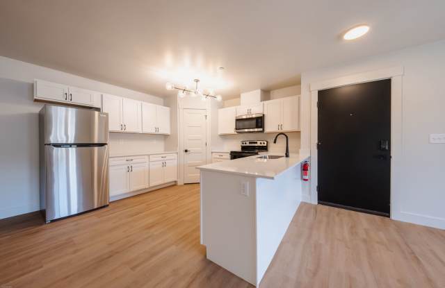 Jumbo 1 bed 1 bath  Modern Apartment - 1017 sqft Gallery 3
