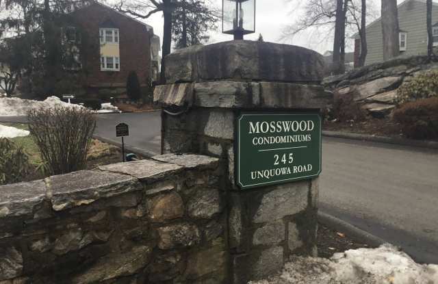 245 Unquowa Road unit: Apt 93 - 245 Unquowa Road, Fairfield County, CT 06824