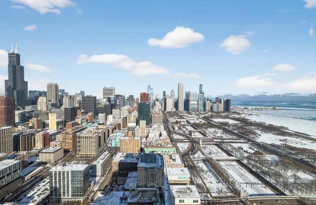 800 S Michigan Ave Gallery 2