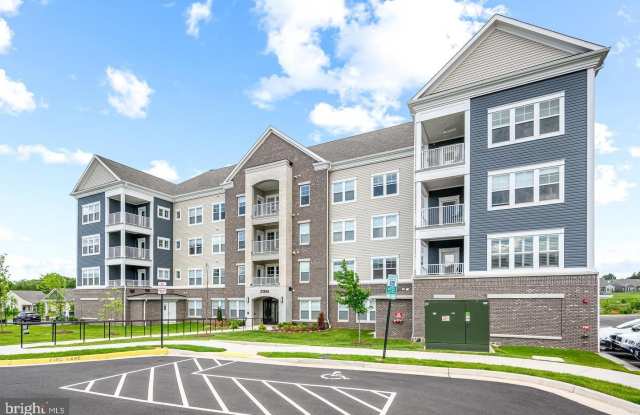 21894 HAWKSBILL HIGH Circle Gallery 2