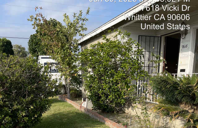 7618 Vicki Dr photos photos