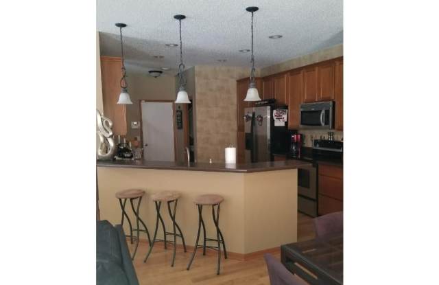 Newer End-Unit Townhome *3Bd*2.5Ba plus loft*1767sqft. Community Pool! Available June 1st! - 11009 Oak Grove Circle, Woodbury, MN 55129