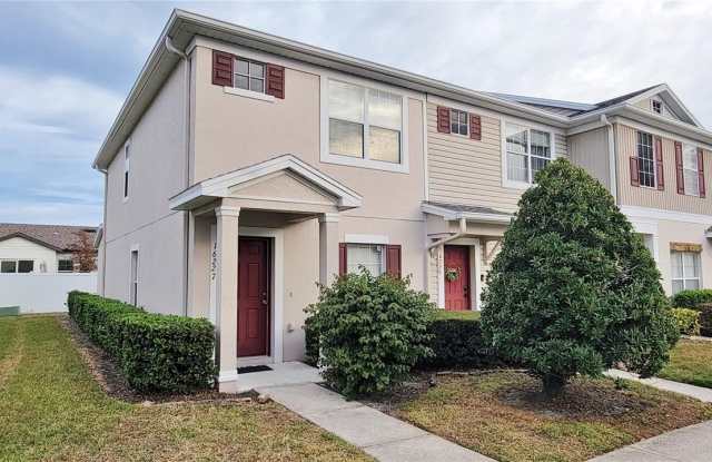 16227 SWAN VIEW CIRCLE - 16227 Swan View Circle, Odessa, FL 33556