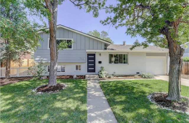 South Boulder 3B 2Ba Gem! Available August 15! photos photos