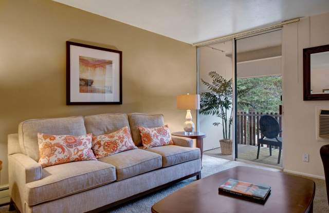 Copper Stone photos photos