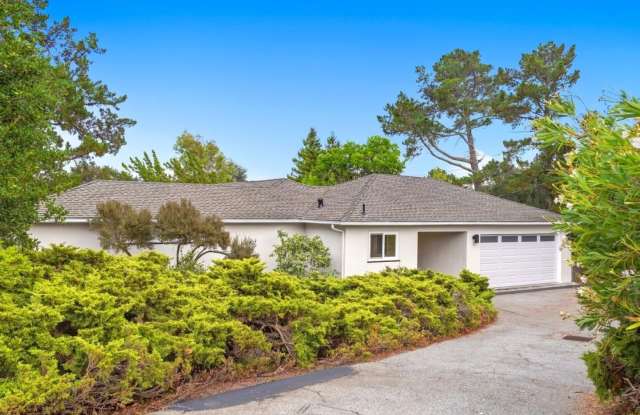 1061 Parrott DR Gallery 4