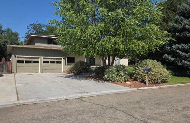 House with a pool photos photos