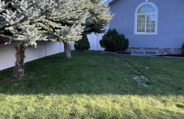 1517 E Falcon Ln Gallery 3