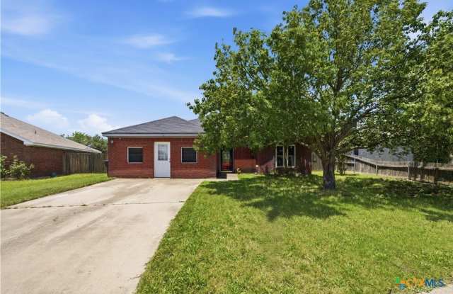 4503 Steamboat Springs Drive Gallery 2