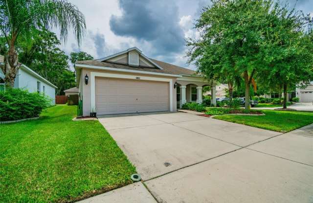 5803 TULIP FLOWER DRIVE - 5803 Tulip Flower Drive, Brandon, FL 33578