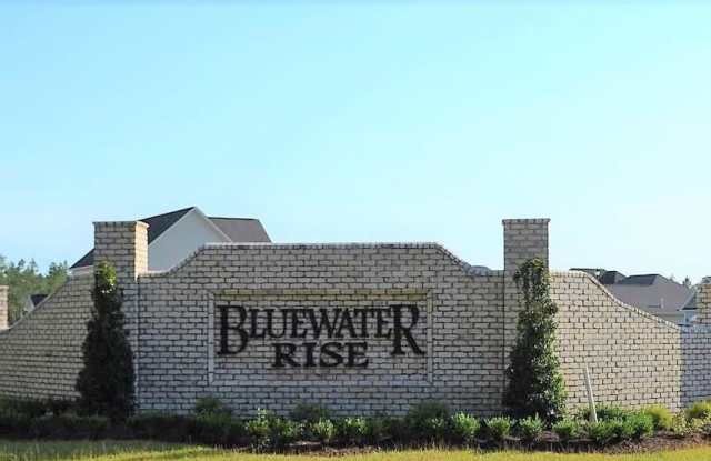 Bluewater Rise - JAMES CITY Gallery 3