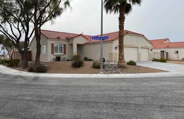 4017 Cotton Creek Avenue - 4017 Cotton Creek Avenue, North Las Vegas, NV 89031