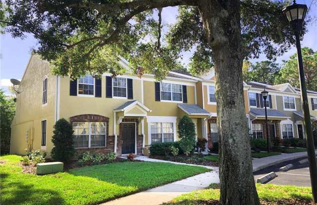 12302 BERKELEY SQUARE DRIVE - 12302 Berkeley Square Drive, Westchase, FL 33626