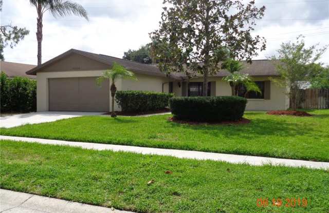 16026 EAGLE RIVER WAY - 16026 Eagle River Way, Northdale, FL 33624