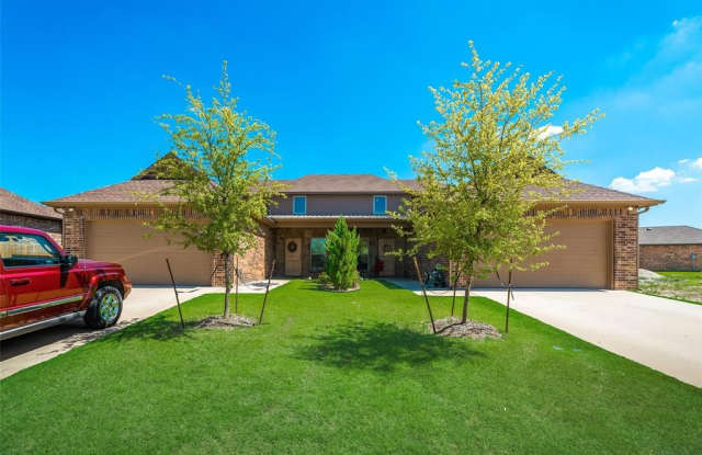 1016 Skyview Court - 1016 Skyview Court, Midlothian, TX 76065