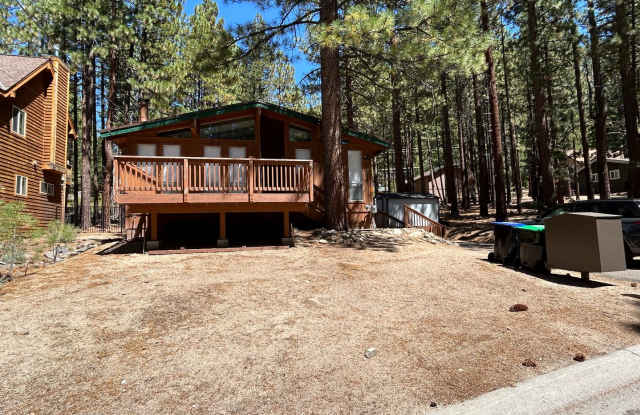 Gorgeous Location Near Heavenly - 3 Bed, 2 Bath Remodeled Home - LONG TERM ONLY (Not seasonal) photos photos