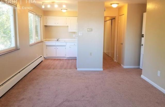 43 Sherman St. - 43 N Sherman St, Denver, CO 80203