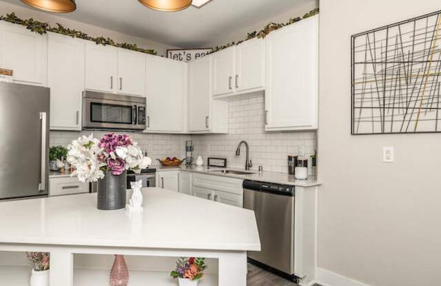 Cantera at Towne Lake photos photos