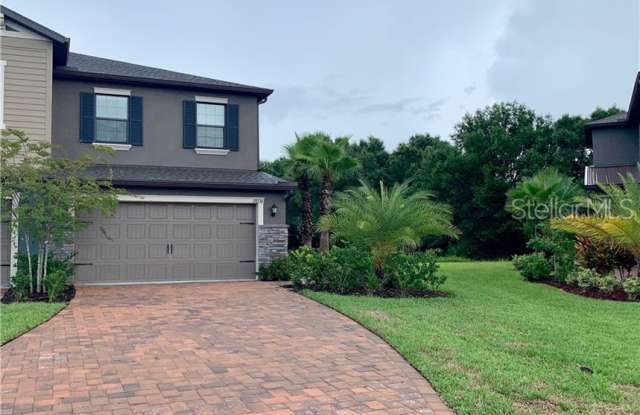 28536 TRANQUIL LAKE CIRCLE - 28536 Tranquil Lake Cir, Wesley Chapel, FL 33543