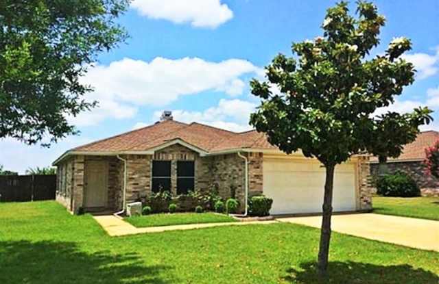 8900 Glen Falls Ln. - 8900 Glen Falls Lane, Denton, TX 76210