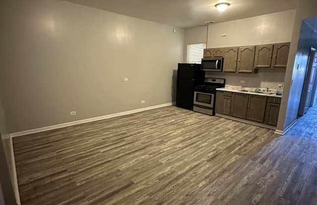 4254 South Cottage Grove Avenue - 1Unit 2 - 4254 South Cottage Grove Avenue, Chicago, IL 60653