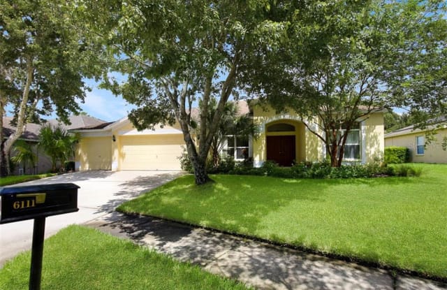 6111 HERONCREST COURT - 6111 Heroncrest Court, Fish Hawk, FL 33547
