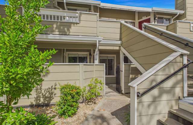 Modern & Fully Renovated Home in San Jose Gallery 3