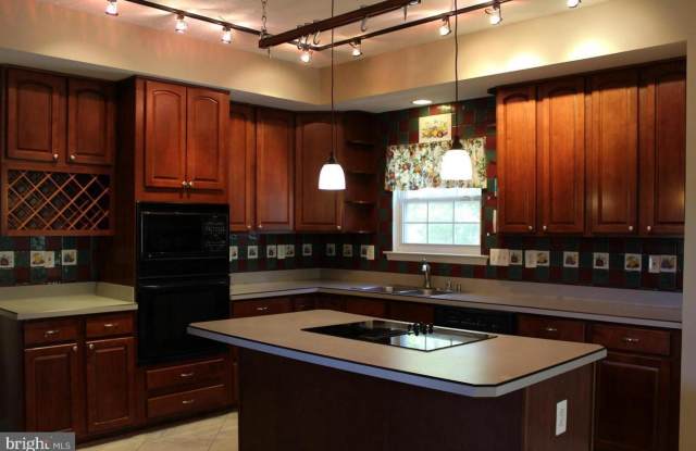 8798 COTTONGRASS STREET Gallery 4