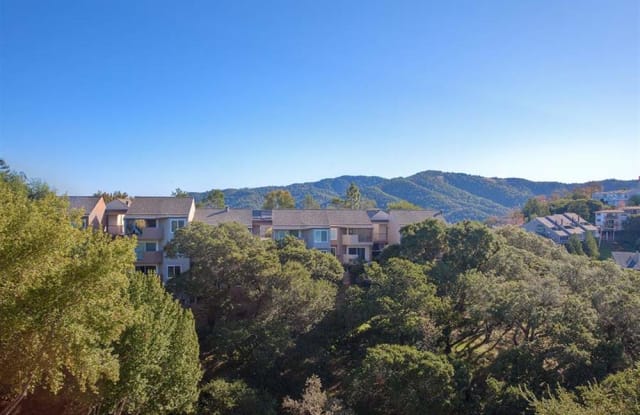 View at Marin Apartments Gallery 4