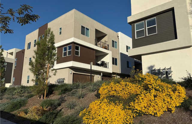 479 Mulligan photos photos