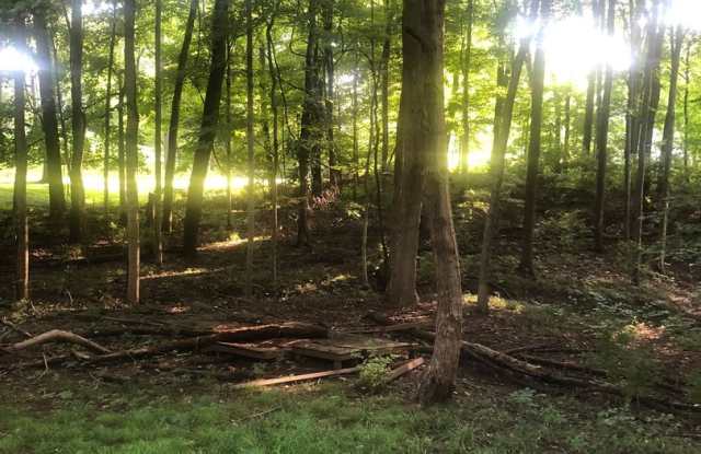 5 bed Cabin A-frame in the woods with large back deck, Next to IU Golf Course and Foundation! Gallery 4
