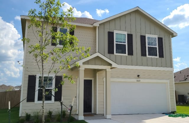 13809 Robert Wagner Bend - 13809 Robert Wagner, Manor, TX 78653