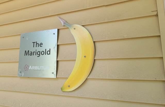 The Marigold - 3 Bed/1 Bath House Gallery 1