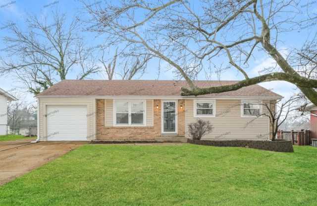 11005 Patsy Drive - 11005 Patsy Drive, Green Park, MO 63123