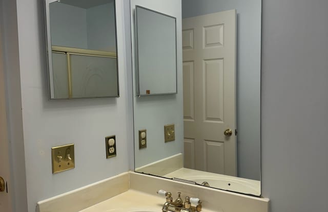 1508 Long Drive Court Gallery 4