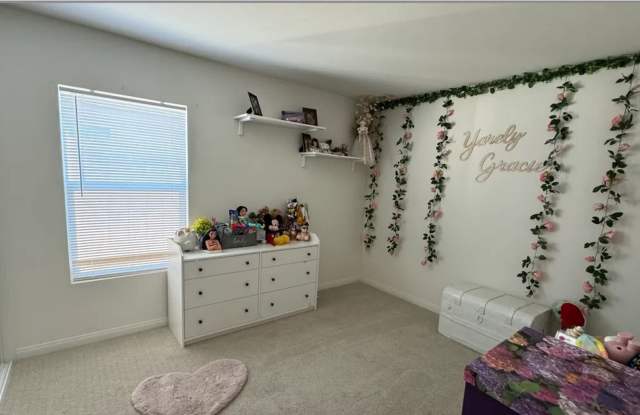 29045 Silver Stirrup Way-Newer Home Gallery 3