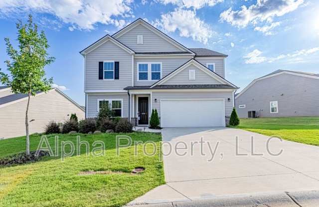 205 Blue Danube Dr photos photos
