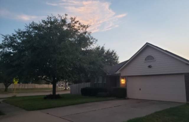 2703 Silk Tree Ln - 2703 Silk Tree Lane, Harris County, TX 77449