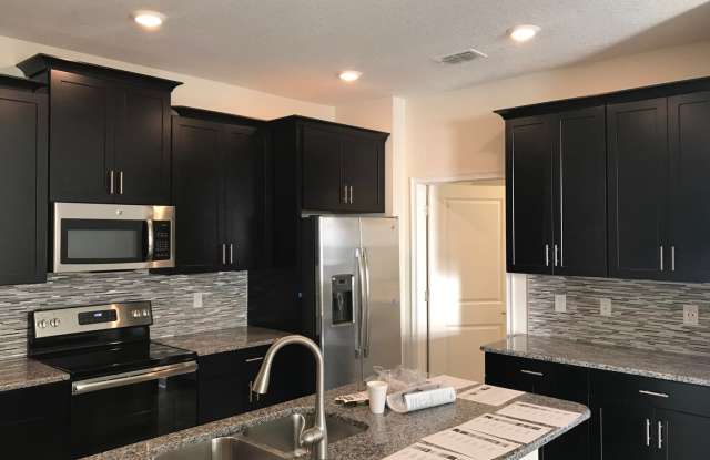 HOME IN LAKE NONA 4B/3B - 10091 Lovegrass Lane, Orange County, FL 32832