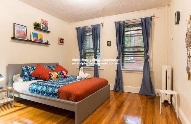 Amazing Coolidge Corner Apt right by T, Shopping, Nightlife and Restaurants.  Quick commute to BU! Gallery 4